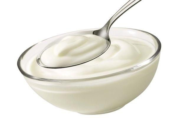 Plain Curd